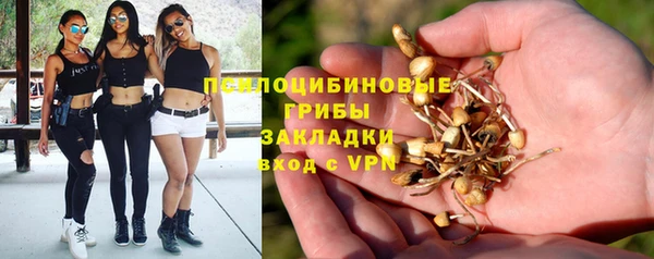 ешки Армянск