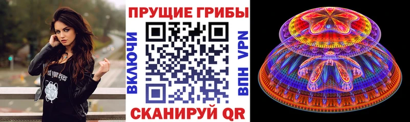 Псилоцибиновые грибы мицелий  сколько стоит  Пыталово 